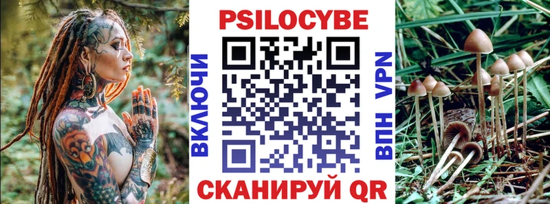 Купить  Калининград  Галлюциногенные грибы GOLDEN TEACHER 